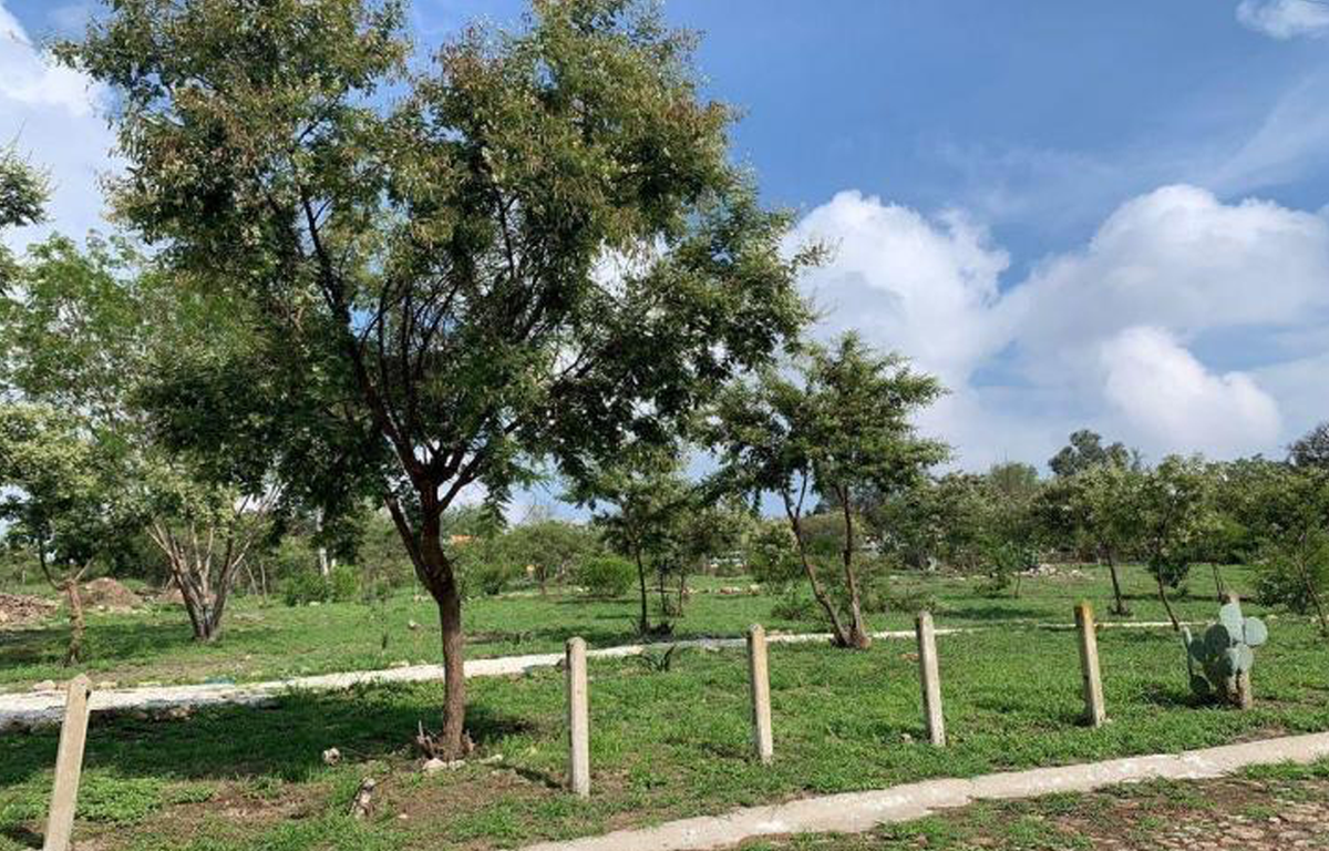 Granja